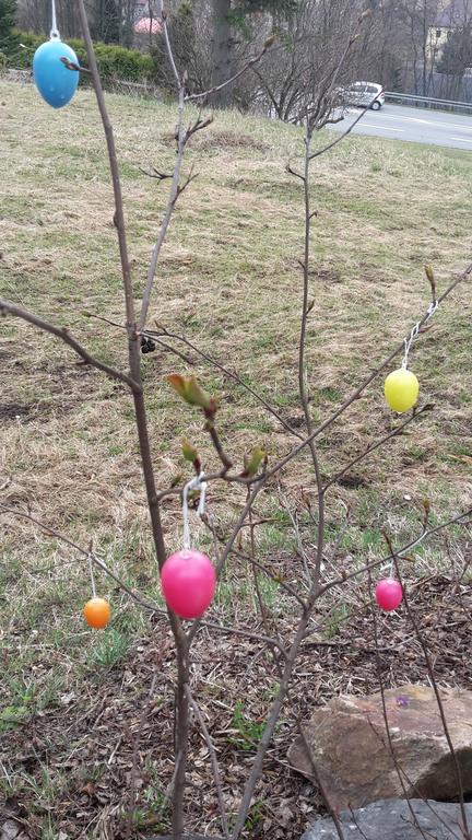 Ferienwohnung Aronia Garten Oberwiesenthal Εξωτερικό φωτογραφία